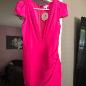 NWT Hot Pink party dress